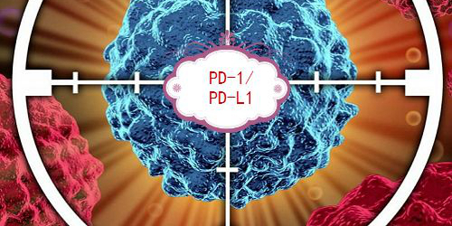 PD-1 抗体类抗肿瘤药