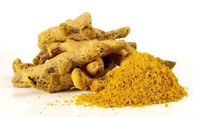 沙利度胺结合姜黄中的成分可以破坏多发性骨髓瘤
