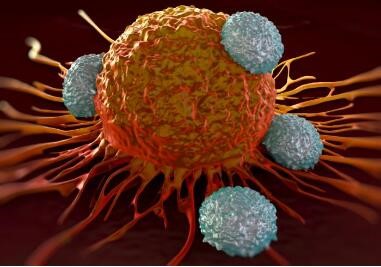 能够有效治疗卵巢癌的免疫疗法指日可待