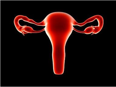 肿瘤DNA片段有助于预测卵巢癌预后