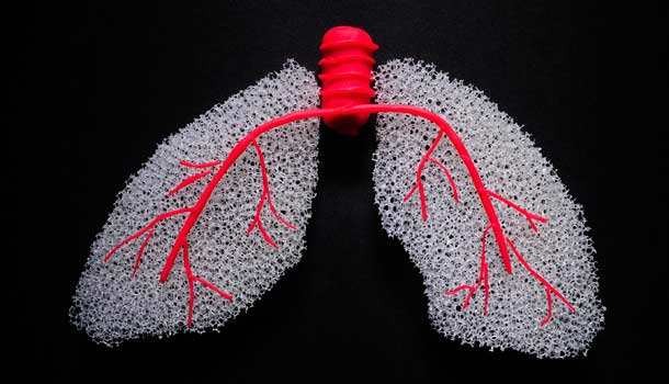 肺癌：风险因素与预防
