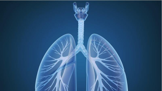 免疫靶向治疗药物有望治愈肺癌
