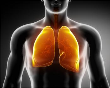 肺癌可休眠20年以上
